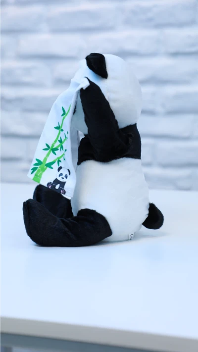 پاندا دالی