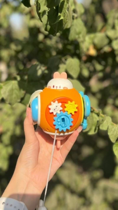 سنسوری برد خرگوشی