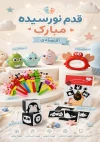 پک قدم نورسیده اقتصادی